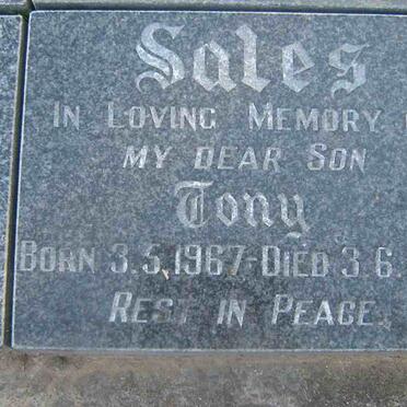 SALES Tony 1967-1988