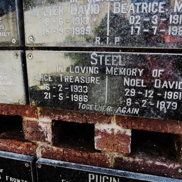 STEEL Noel David 1961-1979 :: STEEL Alice Treasure 1933-1986