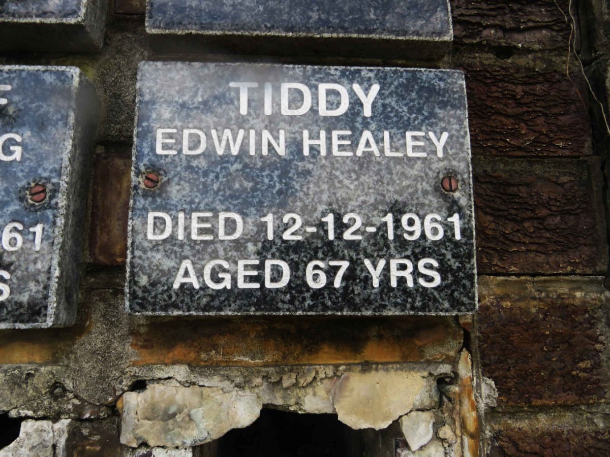 TIDDY Edwin Healey -1961