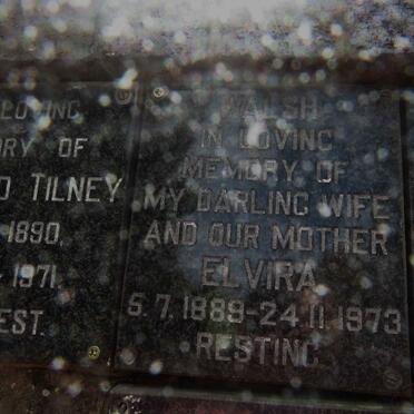 WALSH Elvira 1889-1973