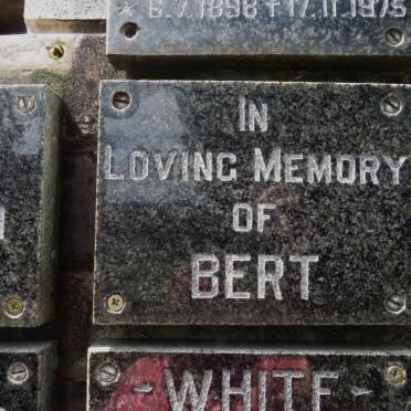 ? Bert