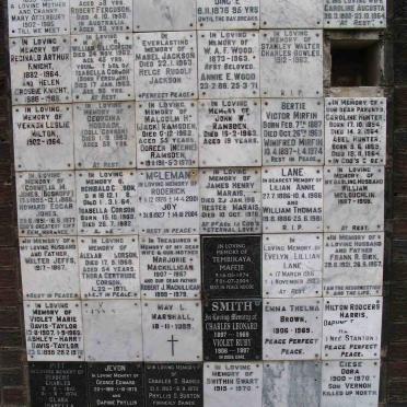 Panel 33