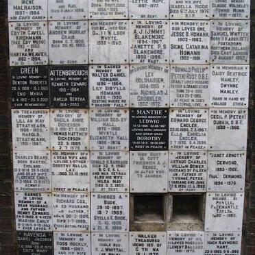 Panel 31