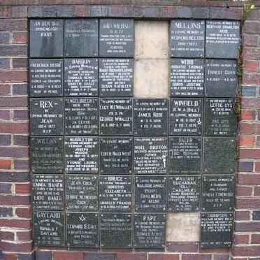 Panel  5
