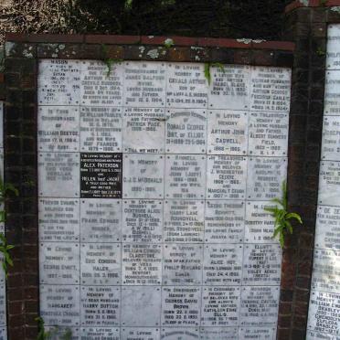 Panel 20
