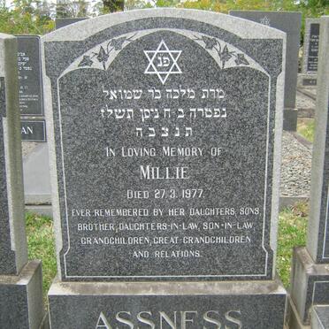 ASSNESS Millie -1977