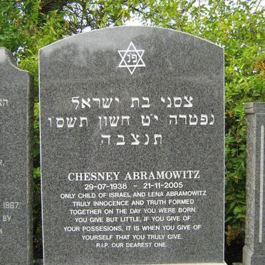 ABRAMOWITZ Chesney 1938-2005