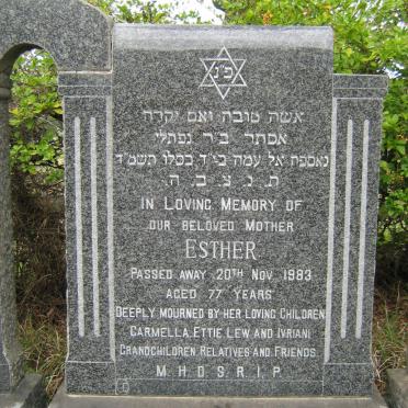 KIMMEL Esther -1983 