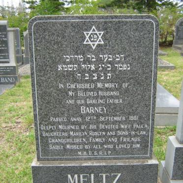 MELTZ Barney -1981