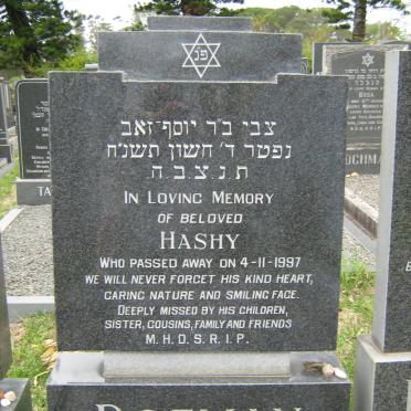 ROZMAN Hashy -1997