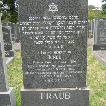 TRAUB Berel -1984