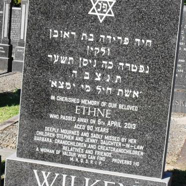 WILKEN Ethne -2013