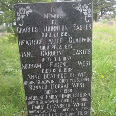 BUSH :: EASTES :: GLADWIN :: WEST :: DE WIT
