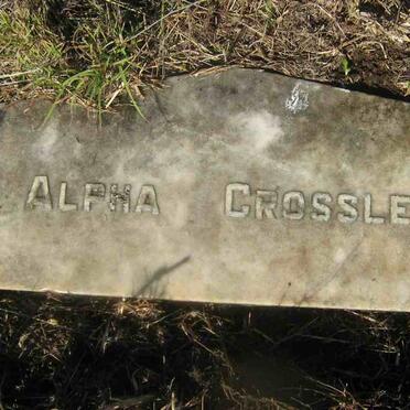 CROSSLEY Alpha -1937