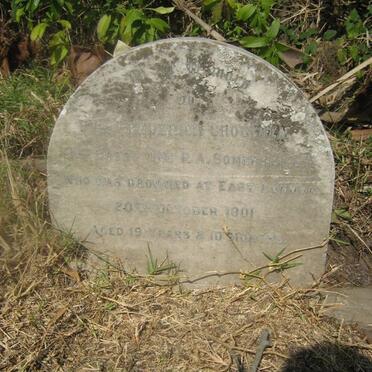 CROUCHEN Frederick -1901