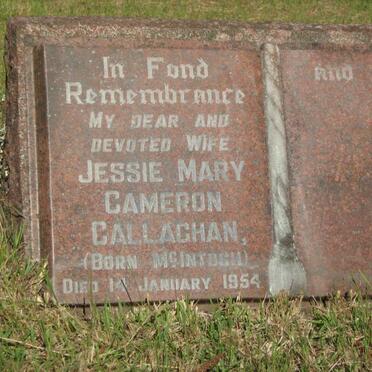 CALLAGHAN Jessie Mary Cameron nee McINTOSH -1954