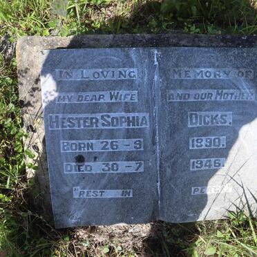 DICKS Hester Sophia 1890-1946