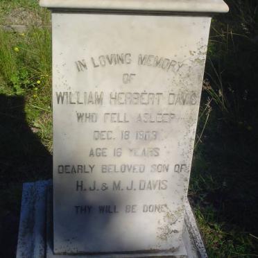 DAVIS William Herbert -1909