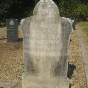 GEE Harold -1900