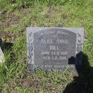 HILL Alice Annie 1886-1982