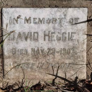 HEGGIE David -1903