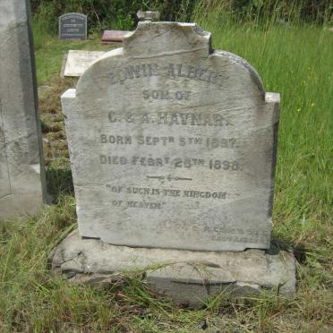 HAVNAR Edwin Albert 1897-1898