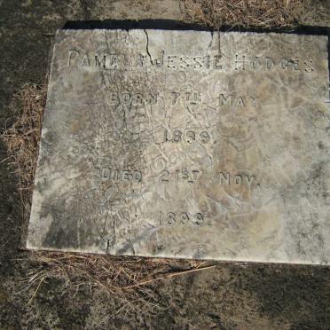 HODGES Pamela Jessie 1899-1899