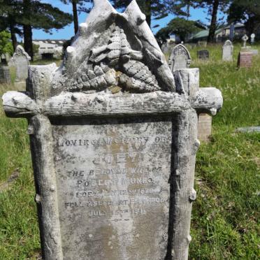 MUNRO Joey 1829-1911