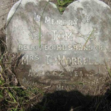MORRELL Tom