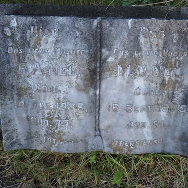 NEL M.D. -1935 & F.A. -1936