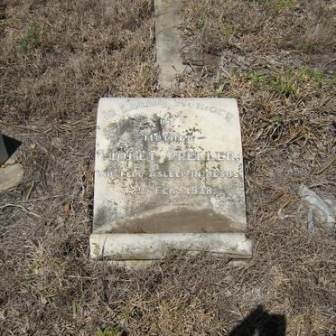 PRELLER Violet -1938