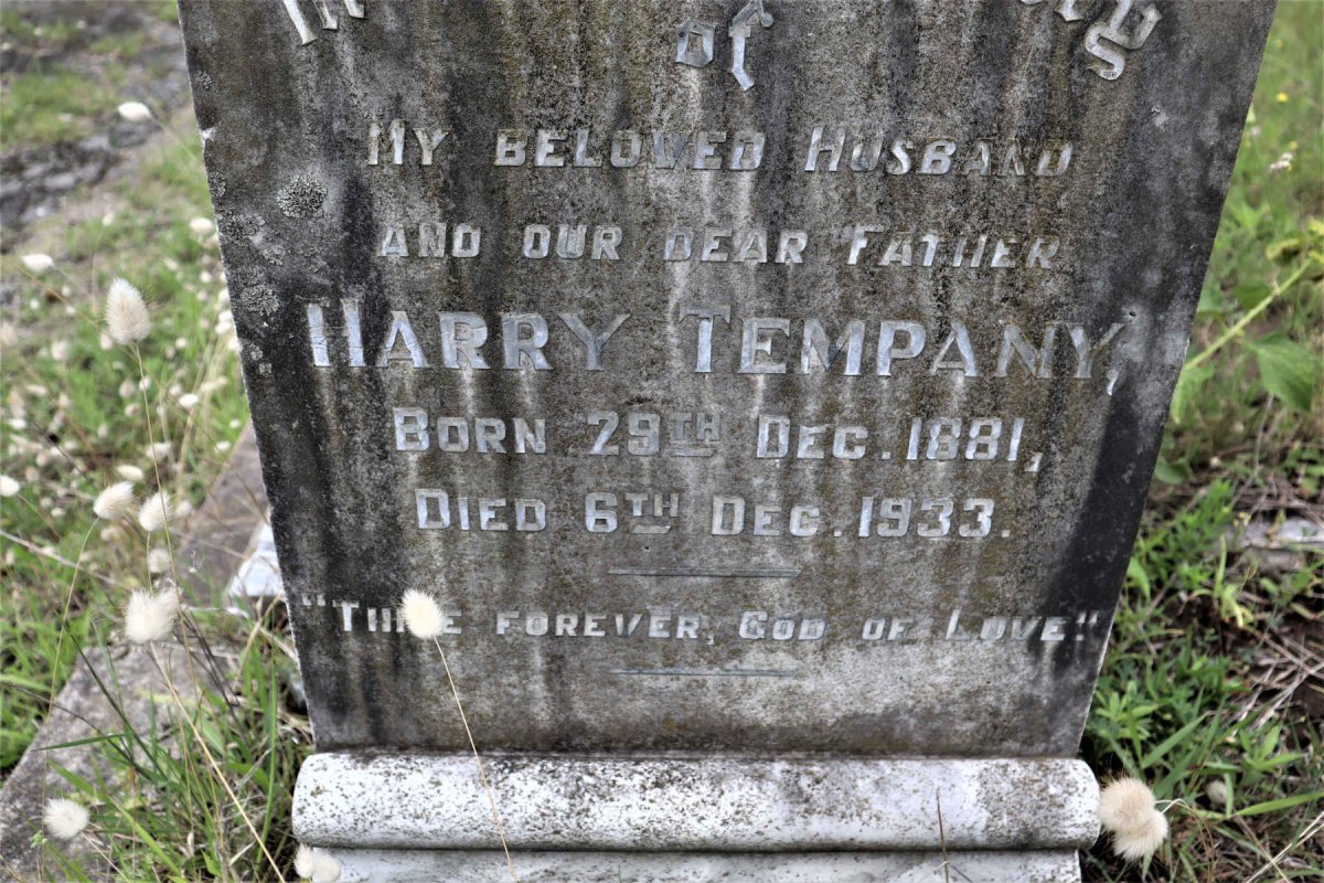 TEMPANY Harry 1881-1933