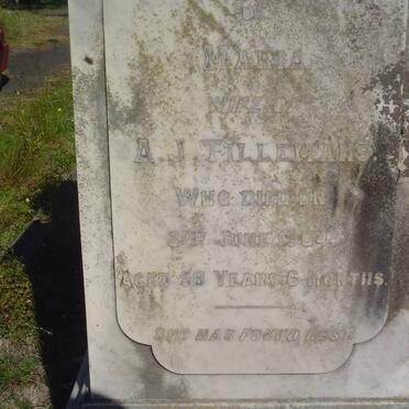 TILLEMANS Maria -1904