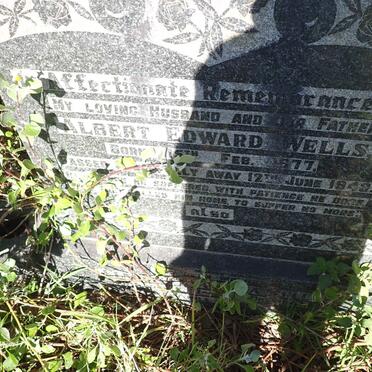 WELLS Albert Edward 1877-1943 :: WELLS ??