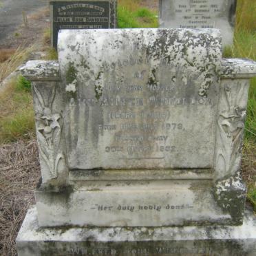 WHEELDON Amy Aileen nee TYLER 1879-1932