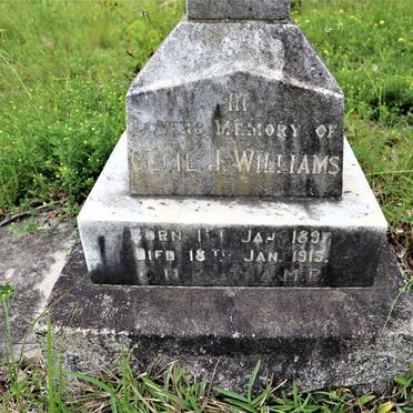WILLIAMS Cecil J. 1897-1919