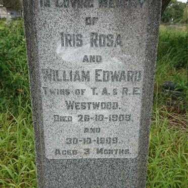 WESTWOOD Iris Rosa -1909 :: WESTWOOD William Edward -1909