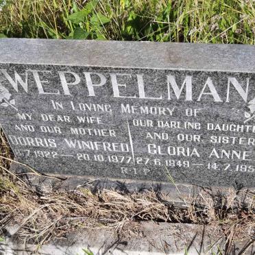 WEPPELMAN Dorris Winifred 1922-1977 :: WEPPELMAN Gloria Anne 1949-1952