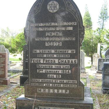 CHABAS Feige Freda -1954 