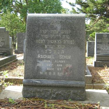 SCHUR Rachael born ALPERT -1951
