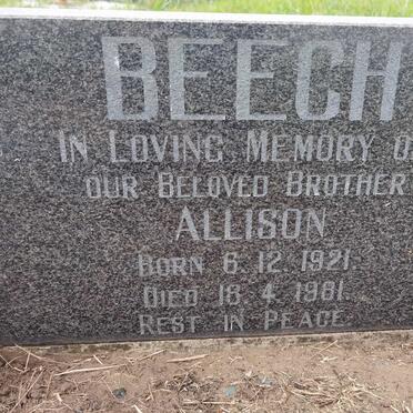 BEECH Allison 1921-1981