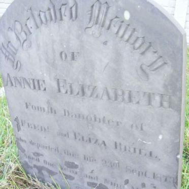 BRILL Annie Elizabeth -1873
