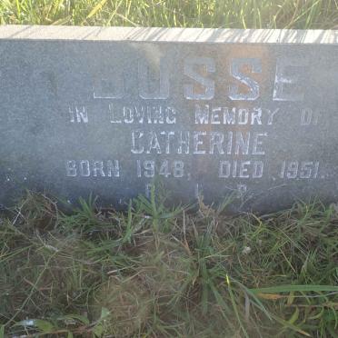 BUSSE Robert 1908-1924 :: GODFREY Doreen 1925-1926 :: BUSSE Catherine 1948-1951