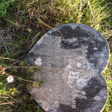 CROUCAMP Peter 1919-1960
