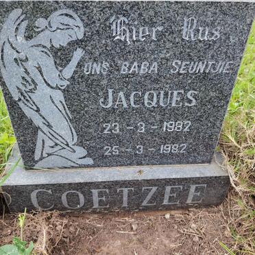 COETZEE Jacques 1982-1982