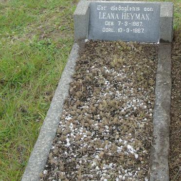 HEYMAN Leana 1967-1967