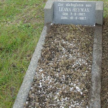 HEYMAN Leana 1967-1967