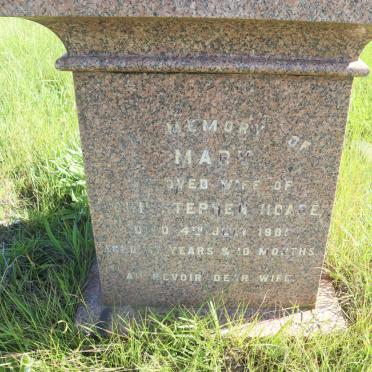 HOARE Mary -1901
