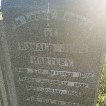 HARTLEY Ronald John 1875-1944