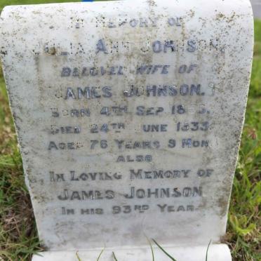 JOHNSON James &amp; Julia Ann 1856-1933